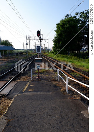 從田舍館月台眺望的堺松 從田舍館月台眺望的堺松 129957909