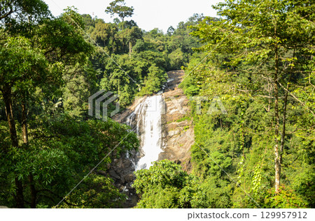 Small waterfall over the rocks in a green forest hill 129957912