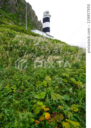 Kitami Kamiaki Lighthouse Lighthouse 129957950