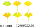 Autumn colorful ginkgo set 129958289