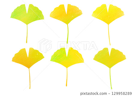 Autumn colorful ginkgo set Autumn colorful ginkgo set 129958289