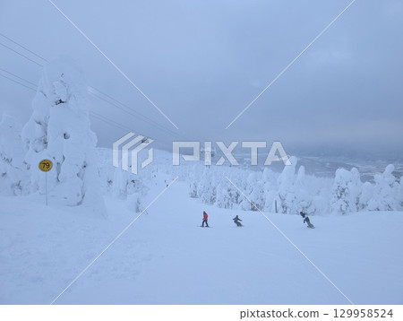 山形藏王溫泉滑雪場 霧凇樹 霧凇樹 山形藏王溫泉滑雪場 霧凇樹 霧凇樹 129958524