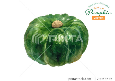 Autumn flavors: Watercolor illustration of a whole pumpkin. (Vector) 129958676