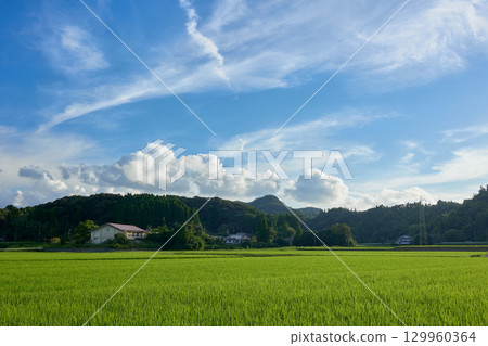 夏季農村風光 129960364