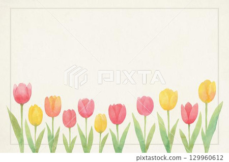 Frame material: Tulip 129960612