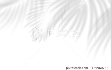 Transparent shadow overlay effect tropical leaves. Realistic shadow of palm branch. Mockup of transparent tropic leaves shadow and natural lightning. Vector illustration Transparent shadow overlay effect tropical leaves. Realistic shadow of palm branch. Mockup of transparent tropic leaves shadow and natural lightning. Vector illustration 129960736