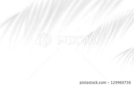 The transparent shadow overlay effect bamboo leaves isolated on transparent background. Background illuminated by sunlight through tropical foliage. Vector illustration The transparent shadow overlay effect bamboo leaves isolated on transparent background. Background illuminated by sunlight through tropical foliage. Vector illustration 129960738