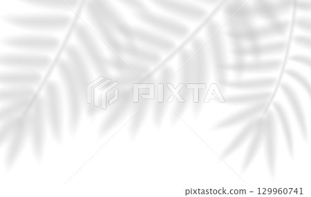 Realistic shadow of tropical leaves. Transparent shadow overlay effect palm, bamboo, fern branches. Mockup of tropic leaves shadow and natural lightning. Vector illustration Realistic shadow of tropical leaves. Transparent shadow overlay effect palm, bamboo, fern branches. Mockup of tropic leaves shadow and natural lightning. Vector illustration 129960741