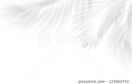 Realistic shade of tropical leaves. The transparent shadow overlay effect isolated tropical palm leaves. Vector illustration 129960743