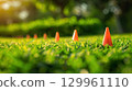 Orange cones in bright green grass 129961110