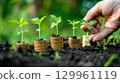 Plants growing on stacked coins 129961119