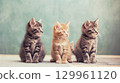 Three kittens with curious looks 129961120