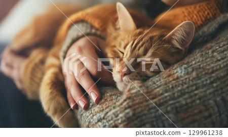 Cat sleeping peacefully with human's touch. 129961238