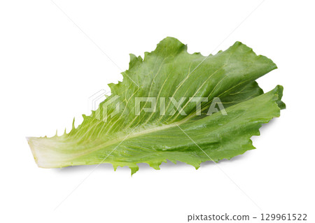 Fresh green ramen salad, lettuce leaf isolated on white background. Healthy food, vegetable 129961522