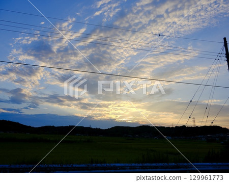 The sky in the rice field The sky in the rice field 129961773