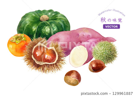 秋收水彩畫。柿子、栗子、地瓜、南瓜(向量) 秋收水彩畫。柿子、栗子、地瓜、南瓜(向量) 129961887