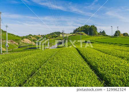 Scenery around the Chagusaba Farming Viewpoint in Kakegawa City (Shizuoka Prefecture) 129962324