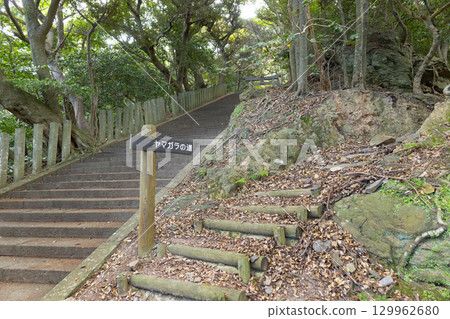 對馬國一宮、海濱神社、山雀小徑 129962680
