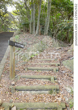 Tsushima Province Ichinomiya, Kaijin Shrine, Varied Tit Path Tsushima Province Ichinomiya, Kaijin Shrine, Varied Tit Path 129962682