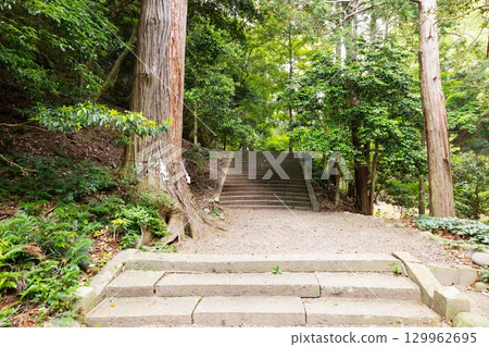 Tsushima Province Ichinomiya, Kaijin Shrine Approach 129962695