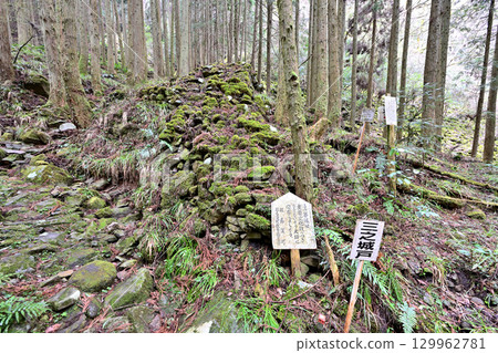 長岩城（豐前國），位於大分縣中津市，為縣級歷史遺址。城牆和圍牆均為石砌。 129962781