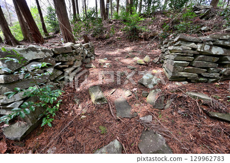 長岩城(豐前國),位於大分縣中津市,為縣級歷史遺址。城牆和圍牆均為石砌。 長岩城(豐前國),位於大分縣中津市,為縣級歷史遺址。城牆和圍牆均為石砌。 129962783