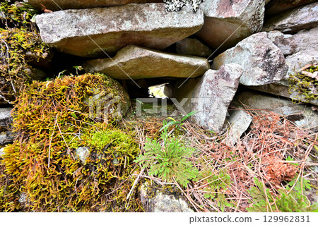 長岩城(豐前國),位於大分縣中津市,為縣級歷史遺址。城牆和圍牆均為石砌。 長岩城(豐前國),位於大分縣中津市,為縣級歷史遺址。城牆和圍牆均為石砌。 129962831