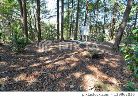 長岩城（豐前國），位於大分縣中津市，為縣級歷史遺址。城牆和圍牆均為石砌。 129962836