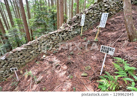 長岩城（豐前國），位於大分縣中津市，為縣級歷史遺址。城牆和圍牆均為石砌。 129962845