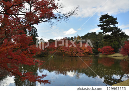 京都仙洞禦所的秋景（京都市上京區） 129963353