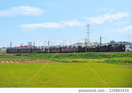Joetsu Line Yagihara  -  Shibukawa JR東日本D51  -  498 + C61  -  20 + Old Guest SL Gugutto  - 群馬縣Minakami 129963450