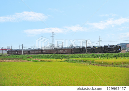 Joetsu Line Yagihara  -  Shibukawa JR東日本D51  -  498 + C61  -  20 + Old Guest SL Gugutto  - 群馬縣Minakami 129963457