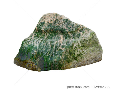 sea stone with algae isolated on white background sea stone with algae isolated on white background 129964209