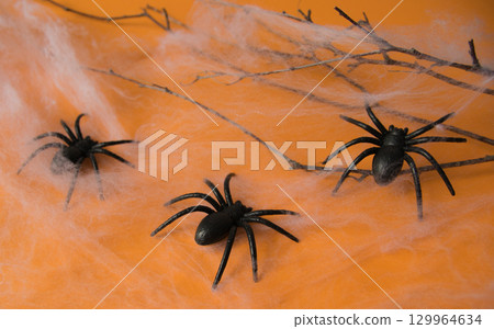 Halloween decorations, pumpkins, web, spines on orange background. Halloween party greeting card.  129964634