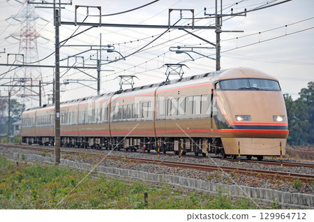 東北本線、東宮栗橋、東武鐵道、100系、106號列車、日光朝聖 129964712