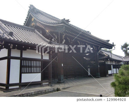 Kyo-san Walk Kyo-san Walk 129964928