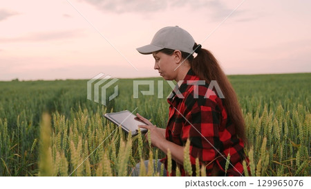 Agriculture, Agriculture digitalization scene, Woman inspecting yield with tablet, Hi-tech farming landscape, Lady in flannel in wheat, Nature meets technology, Organic farming and innovation, Smart Agriculture, Agriculture digitalization scene, Woman inspecting yield with tablet, Hi-tech farming landscape, Lady in flannel in wheat, Nature meets technology, Organic farming and innovation, Smart 129965076