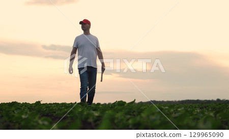 Agriculture, Agricultural worker in cap uses tablet, Future of farm management, Digital solutions for farmers, Crop analysis with devices, Modern methods for perfect yield, Rural man checks crop 129965090