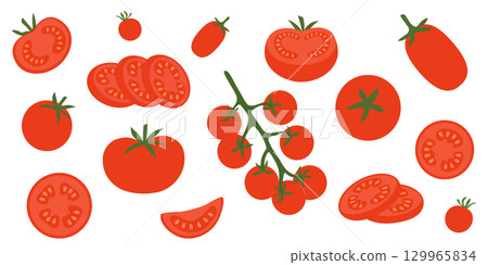 Fresh red tomatoes in flat style vector illustration. Whole, Half, Quarter, Slice, Angled, Hand Drawn Set Isolated. Fresh organic vegetables for cooking, salad, healthy eating 129965834