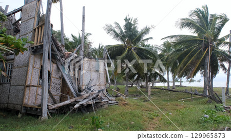 Palm trees sway as bamboo hut debris lies scattered revealing aftermath of violent typhoon  129965873