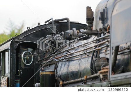 蒸汽機車（秩父鐵道） 129966250