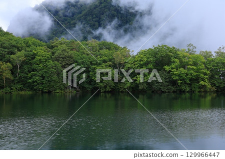 misty autumn leaves forest 129966447