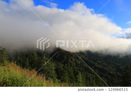 Mountain ridges shrouded in mist 129966515