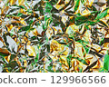 Abstract pattern background material 129966566