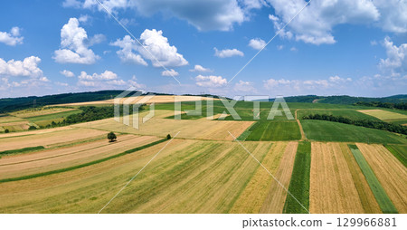 Aerial landscape view of green cultivated agricultural fields with growing crops on bright summer day 129966881