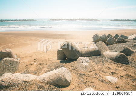 海和四足動物 海和四足動物 129966894