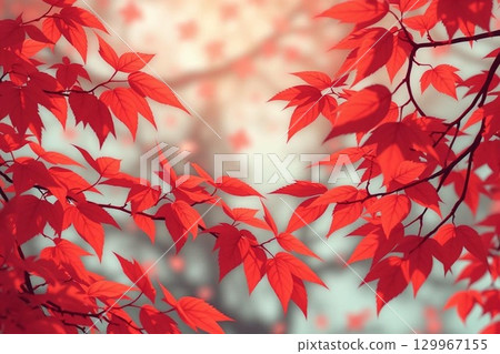 Autumn leaves Autumn leaves 129967155