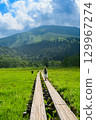 Walking in Ozehara in summer 129967274