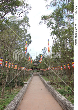 越南順化市的 CHUA TU HIEU 越南順化市的 CHUA TU HIEU 129967278