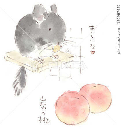 Watercolor illustration of a chinchilla eating Yamanashi peaches and scraps 129967472
